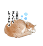 営業もふねこのつぶやき2（個別スタンプ：7）