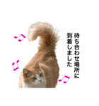 営業もふねこのつぶやき2（個別スタンプ：14）