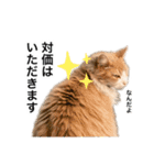 営業もふねこのつぶやき2（個別スタンプ：19）