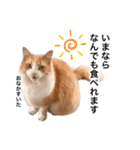 営業もふねこのつぶやき2（個別スタンプ：22）