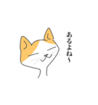 ハチワレねこさんがお返事（個別スタンプ：5）