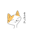 ハチワレねこさんがお返事（個別スタンプ：6）