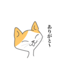 ハチワレねこさんがお返事（個別スタンプ：7）