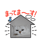 ねこちゃんといっしょ（個別スタンプ：5）