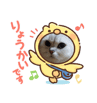 ねこちゃんといっしょ（個別スタンプ：7）