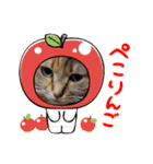 ねこちゃんといっしょ（個別スタンプ：8）