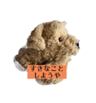 ぬいぐるみのことば（個別スタンプ：4）
