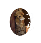 ぬいぐるみのことば（個別スタンプ：5）