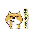 関西弁な柴犬。【大阪府＆京都府など】（個別スタンプ：5）