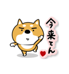関西弁な柴犬。【大阪府＆京都府など】（個別スタンプ：9）