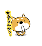 関西弁な柴犬。【大阪府＆京都府など】（個別スタンプ：14）