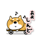 関西弁な柴犬。【大阪府＆京都府など】（個別スタンプ：20）