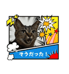 キジトラくまちゃんとしーちゃん2（個別スタンプ：21）