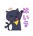 黒ねこさんの色々なリアクション（個別スタンプ：19）