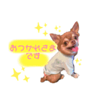 めろりんこ（個別スタンプ：2）