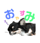 きんぐ・くるみ・みるく（個別スタンプ：10）