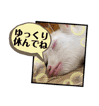 ヤギのペッパーとミルク（個別スタンプ：22）