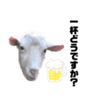 ヤギのペッパーとミルク（個別スタンプ：33）