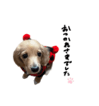 llatte.（個別スタンプ：2）