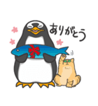 ペンギンスタンプ(ジェンツーペンギン4)（個別スタンプ：3）