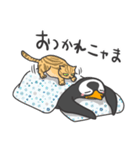 ペンギンスタンプ(ジェンツーペンギン4)（個別スタンプ：39）