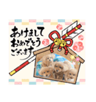☆トイプーココアと家族の日常☆②（個別スタンプ：5）