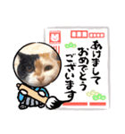 ☆トイプーココアと家族の日常☆②（個別スタンプ：6）