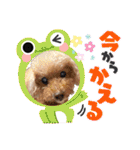 ☆トイプーココアと家族の日常☆②（個別スタンプ：9）