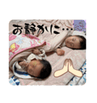 しんらすたんぷ（個別スタンプ：2）