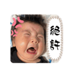 しんらすたんぷ（個別スタンプ：11）