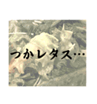 食べ物スタンプ②（ダジャレ多め）（個別スタンプ：35）