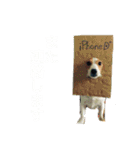 どんぐりコロコロスタンプ（個別スタンプ：7）
