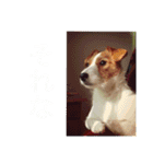 どんぐりコロコロスタンプ（個別スタンプ：11）
