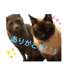 我が家のヌッコ★くりかぼす（個別スタンプ：14）