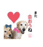 我が家のヌッコ★くりかぼす（個別スタンプ：16）