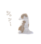 愛犬リリィくん（個別スタンプ：4）