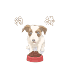 愛犬リリィくん（個別スタンプ：7）