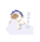 愛犬リリィくん（個別スタンプ：11）