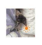 日常で使えるクリスチャン☆彡（個別スタンプ：1）
