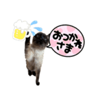日常で使えるクリスチャン☆彡（個別スタンプ：5）
