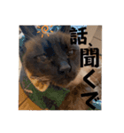日常で使えるクリスチャン☆彡（個別スタンプ：12）