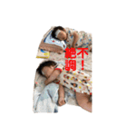 獅子郎＆龍子郎（個別スタンプ：2）