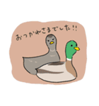 あちこちの鳥（個別スタンプ：3）