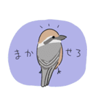 あちこちの鳥（個別スタンプ：9）