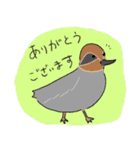 あちこちの鳥（個別スタンプ：13）