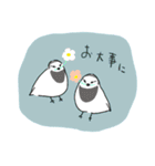 あちこちの鳥（個別スタンプ：14）