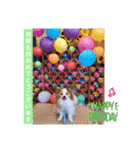 ぱぴぱぴパピヨン91（個別スタンプ：15）
