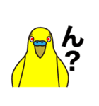 セキセイインコ いろいろ（個別スタンプ：4）