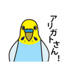 セキセイインコ いろいろ（個別スタンプ：5）