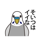 セキセイインコ いろいろ（個別スタンプ：9）